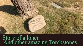 Living Alone in Nature: A Hermit's Heartwarming Story