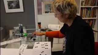ALENKA SOTTLER FINGERPRINT ILLUSTRATIONS: FROM FINGERPRINT TO MOUSE