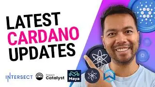 Cardano News Update, User Inflows, Interoperability, DDoS Update - 28th June 2024