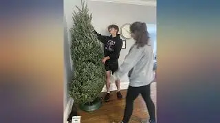 Krinner Tree Genie Tree Genie XXL Christmas Tree Stand, Green revieww