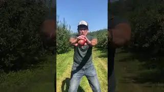 Go Go Apple Rangers! #powerrangers #fall