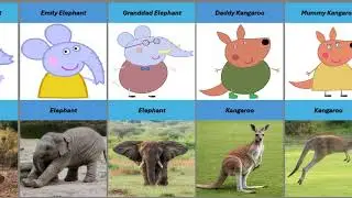 🐷🐷🐷 You Won't Believe Peppa Pig & Friends in Real Life! 😱 Real Animals Behind the Cartoon🐰  🐇  🐽 🐖 🌿