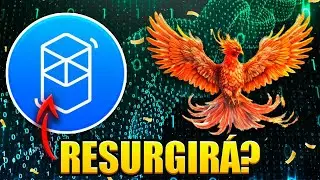 QUE ES FANTOM  🐦2024 | El RIVAL de Ethereum? | FUTURO de FTM