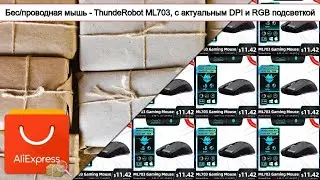 Бес/проводная мышь - ThundeRobot ML703, с актуальным DPI и RGB подсветкой | #Обзор