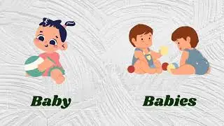 Singular Plural nouns | Learn singular plural words in english | singular plural with pictures
