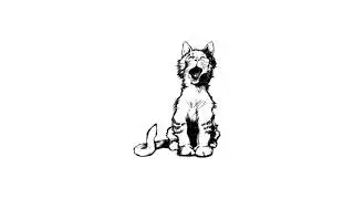 Cat Meow Sound Effect - Funny Sound Effects For Video Editing