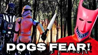 DVAD: Dogs Fear!