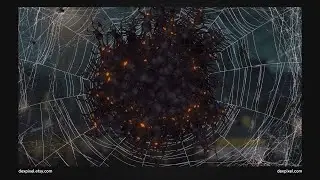 Spiders Clutter Stream Transition. OBS Stinger Black Widow