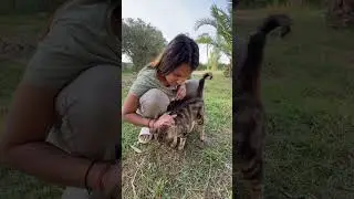 Mira’s cat 🐱
