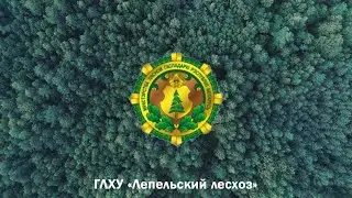 Лепельский лесхоз | Презентационный фильм