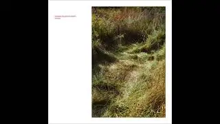 Shabason, Krgovich & Harris - At The Side Of The House