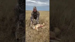 Craig Coyote Hunting