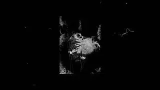 [FREE FOR PROFIT] EXPERIMENTAL x AMBIENT TRAP TYPE BEAT 