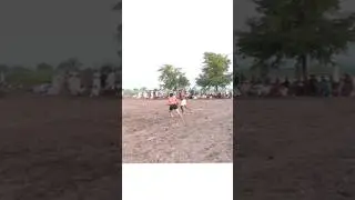 best kabaddi shorts syed batera