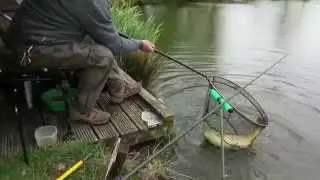 Common Carp on Margin Pole