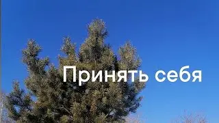 Принимайте себя. Вы прекрасны