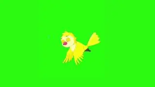 tune charia /green screen cartoon birds |nocopyright