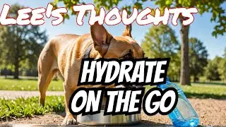Bring Your Best Friend with you anywhere: Dog water bottle/bowl combo