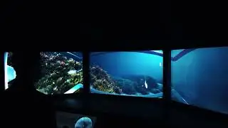 Sea Explorer: Complete underwater exploration experience - Long gameplay