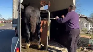 🥁🐎Фейзар вже у нових господарів🎯 🎬📽Микола за оператора💪👍💣💥
