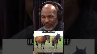 Mike Tyson on how he got his Tigers
