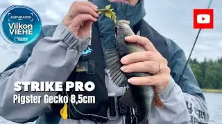 Strike Pro Pigster Gecko 8,5 cm | Viikon viehe