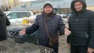 19.11.23 часть 3. Ярмарка г.Самара. Олег Костяков