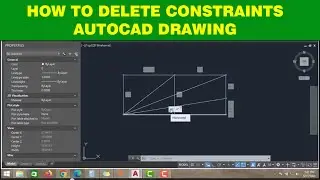 HOW TO DELETE CONSTRAINTS IN AUTOCAD