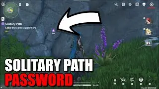 Solitary Path Password Wuthering Waves