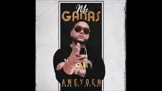 ME GANAS - ANEYDEN ( Audio Oficial )
