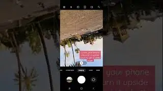 Lower your phone and turn it upside down to get a more interesting angle. #short #mobilephotography