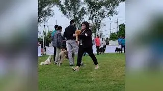 Palwal Dog Show 2024 || Final BIS Line-up Judging ||judge- Mr. Ranjeet Singh Munjal || credit DOGS99