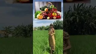 Пестициды 