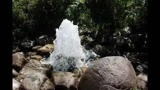Синя слънчева вода ( Жива вода ) : Матрици на Гаряев