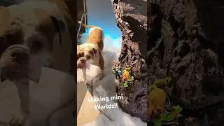 Making Mini WORLDS. #stopmotion #miniatures #shelrasch #toys #toymation #motu #bulldog