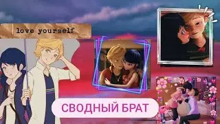 Переписка: Сводный брат 💖1 часть| из мультсериала🐞Леди баг и Супер кот🐱💕