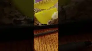 wierd position