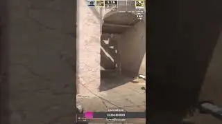 Counter-Strike 2 - Кто этим пернатым выдал оружие ?😂