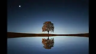 Reflections