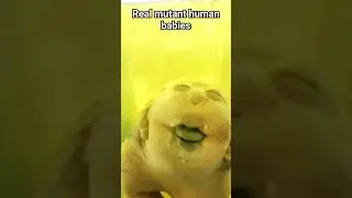 Real human babies.