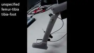BioMetal Leg Model #entry2