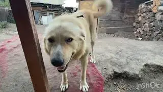 Мне не нужна любовь в кавычках.