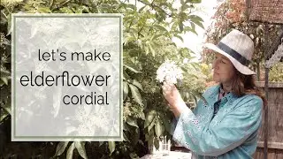 Let's make elderflower cordial