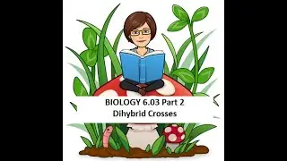 BIO 6.03 Dihybrid Crosses Part 2
