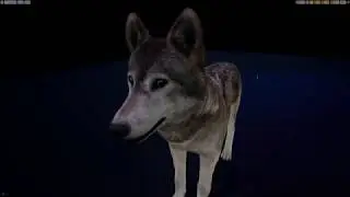 UNREAL ENGINE 4 FUR test