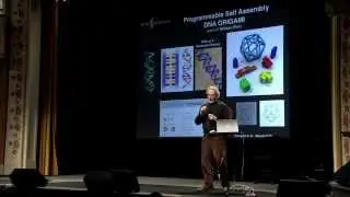 Donald Ingber - Serendipitous Science