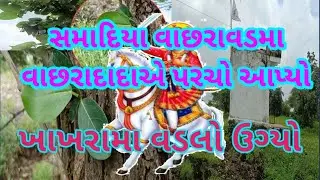 વાછરાવડમા વાછરાડાડાનો પરચો