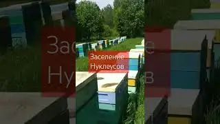 30 мая 2024 г.