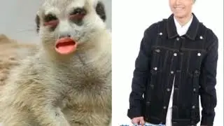 軒仔首新歌《百年樹木》真系好聽到連動物都同佢合唱啊！