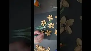 pista shell craft idea